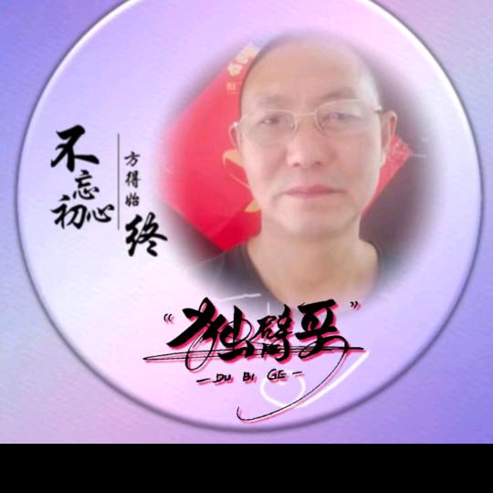 独臂哥