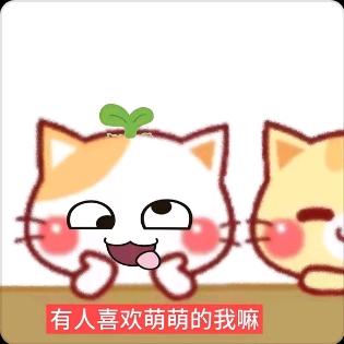 弯弯绕