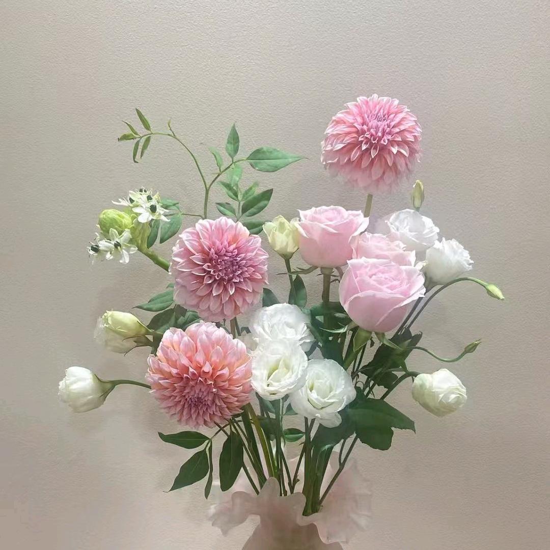 英子生活鲜花（家居花）