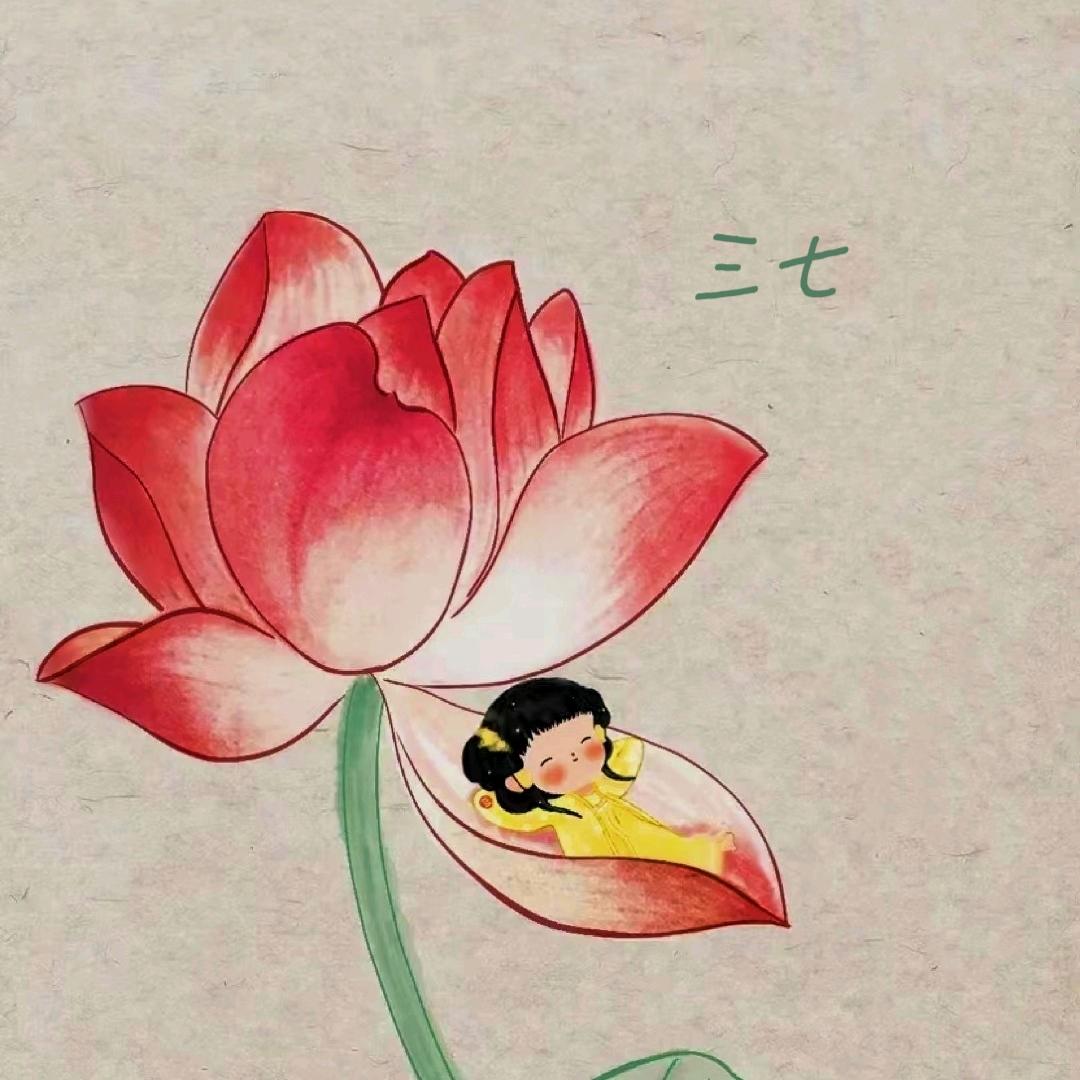 三七
