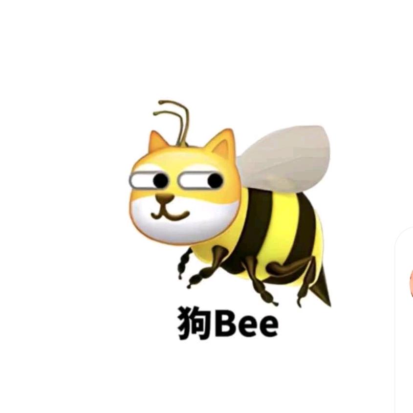 🇨🇳  橙橙橙子