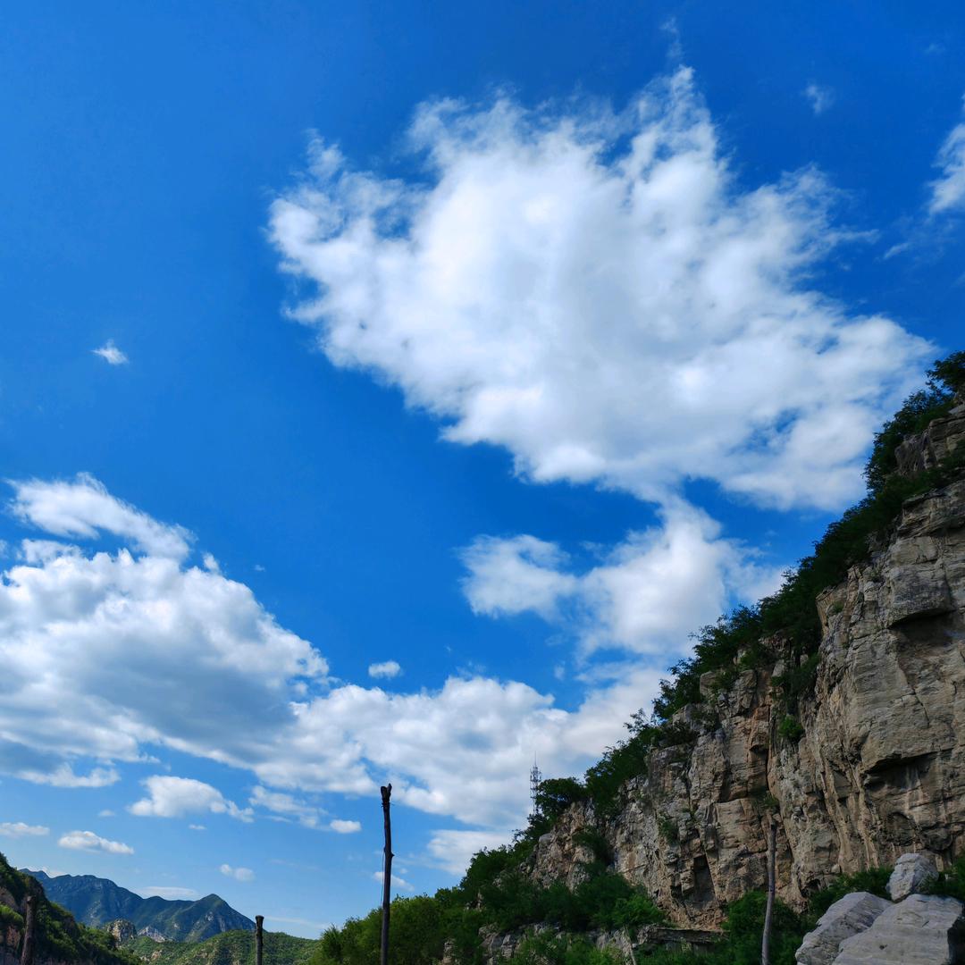 杨⫍ ⃢⃢👁━👁⃢ ⫎英