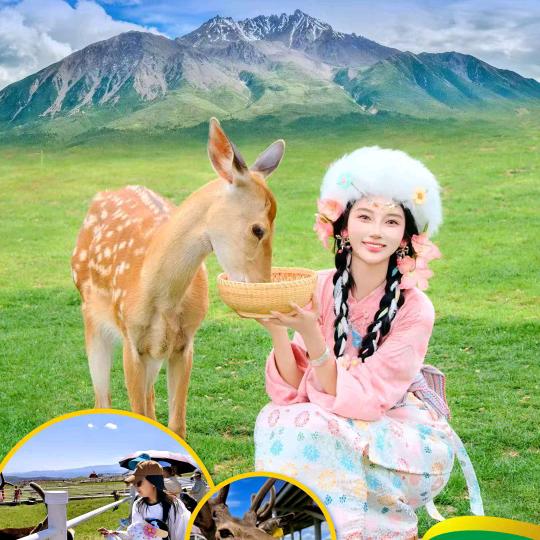 好行程国旅周边游