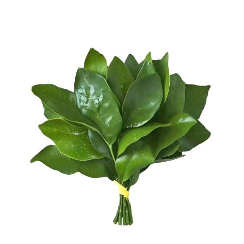 钱途有光芒✨（出差 睡衣版）