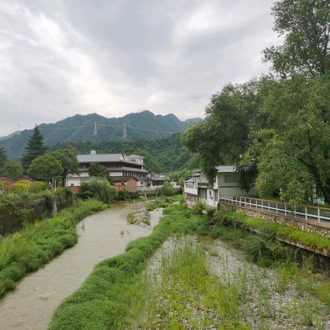 伍行