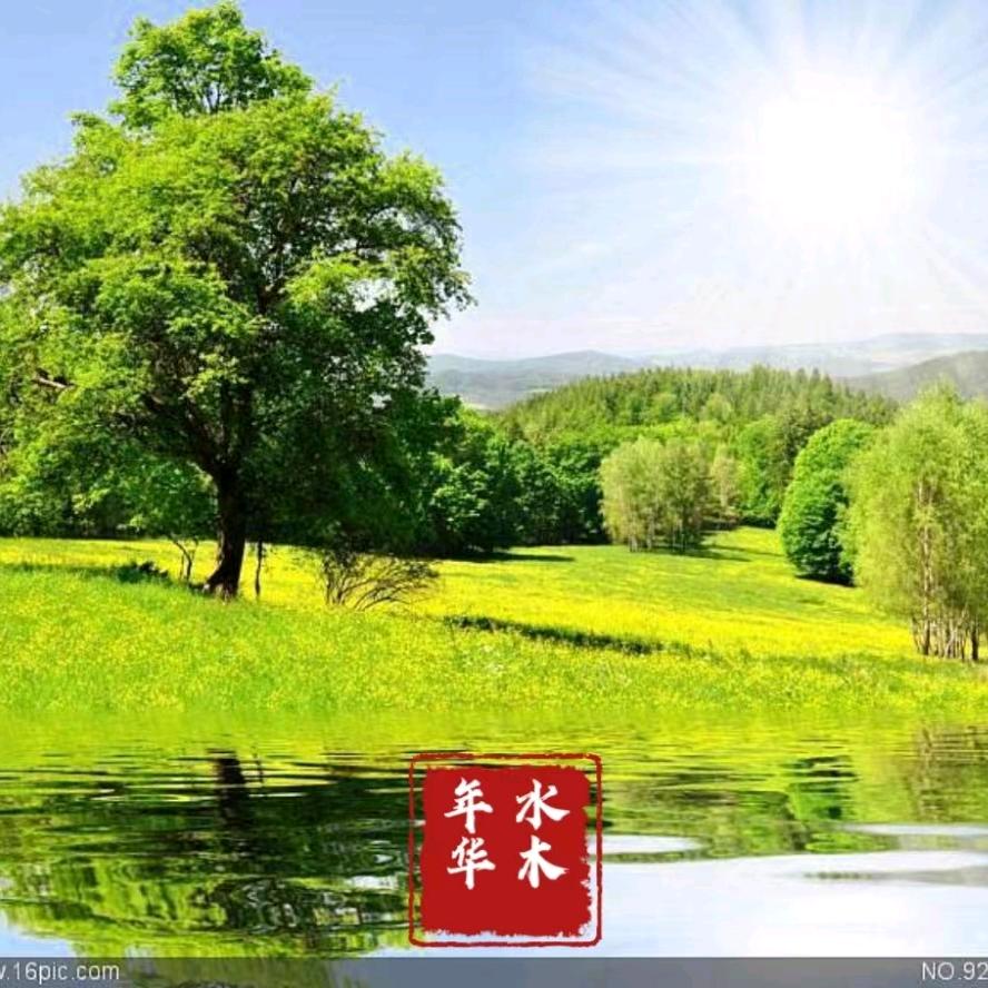 水木年华
