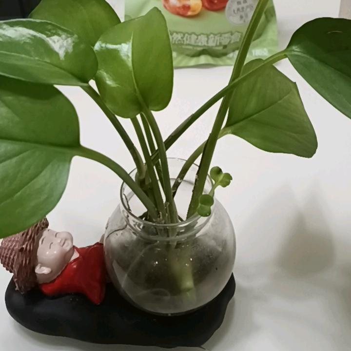 哲哲～衡衡