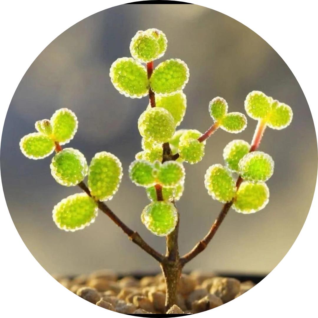 んα讠　海҈҈҈҈💦҈ ʰྂᵃྂⁱ