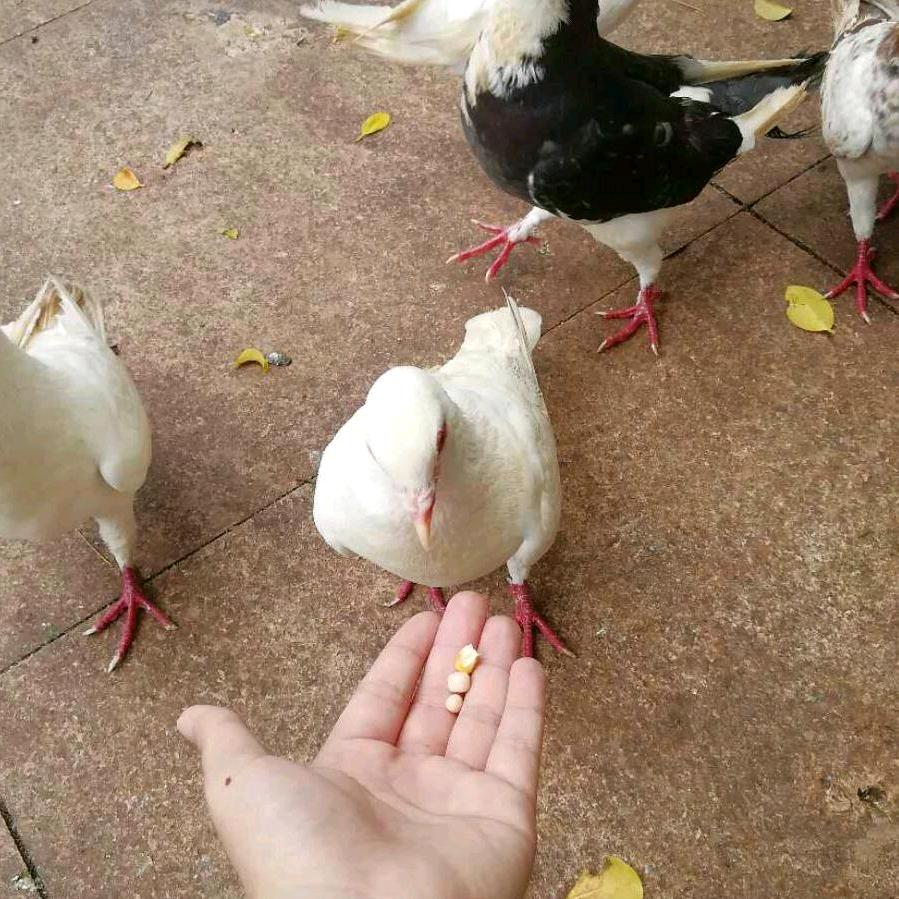 为了明天会更好