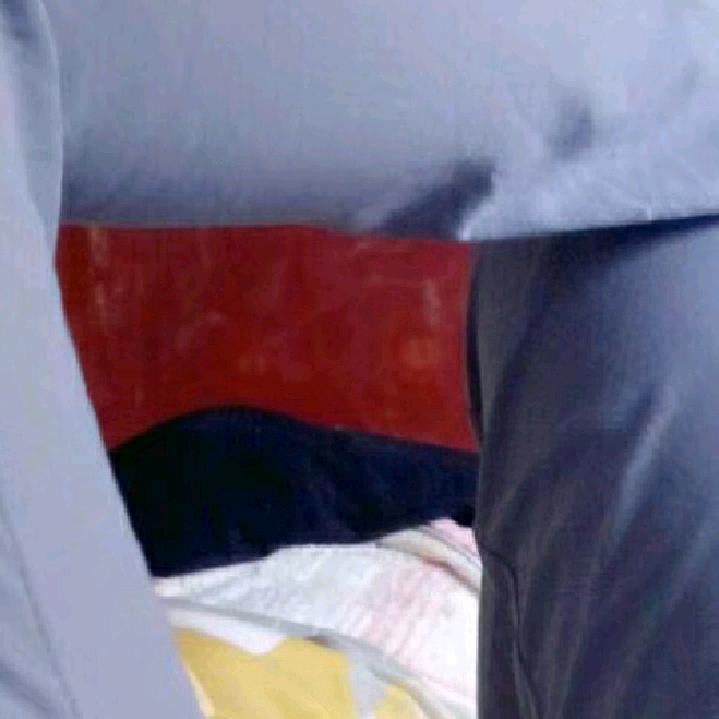 集团粉丝……66号