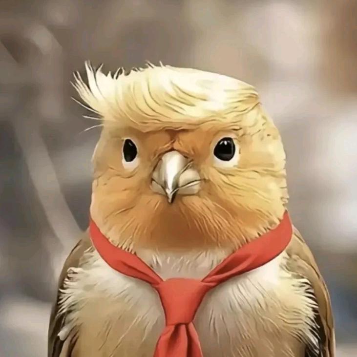 秋叶蓝布城的我