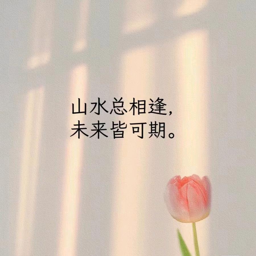 🍁第五个季节