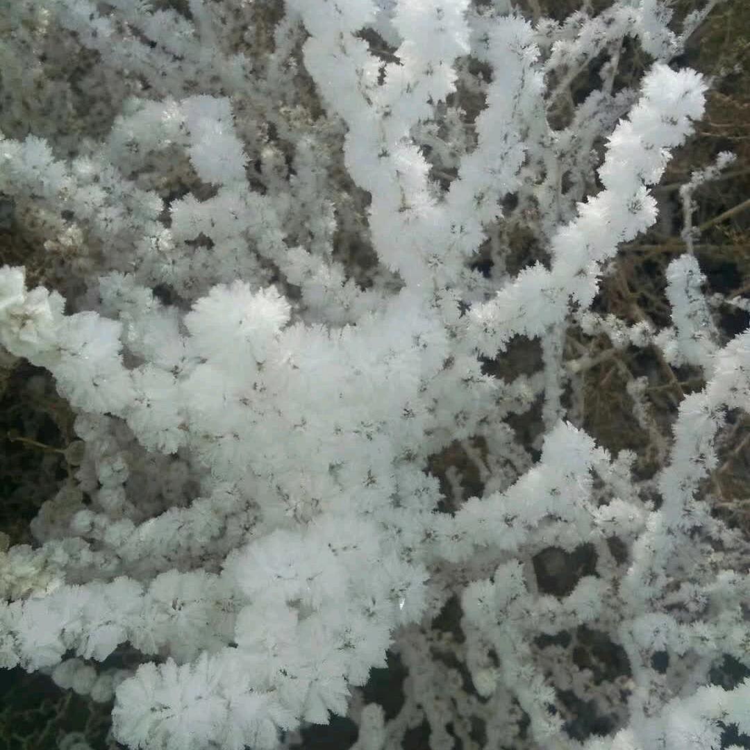 我的未来不是梦