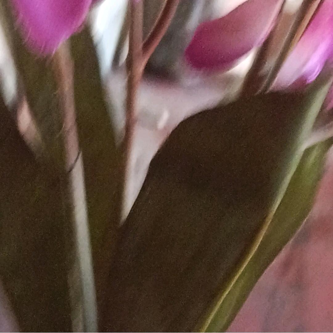 马忠华