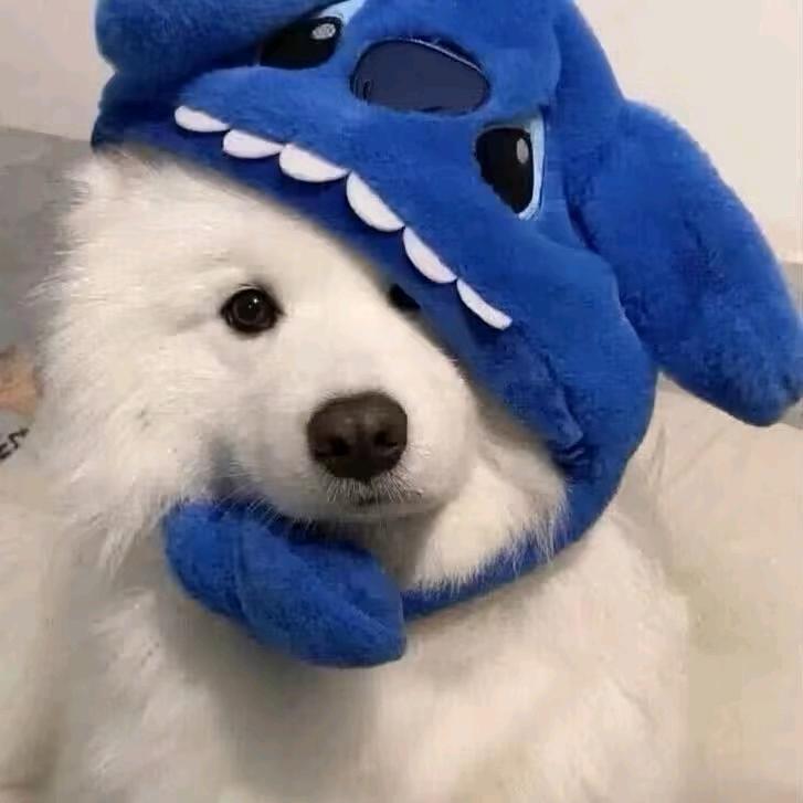 发财