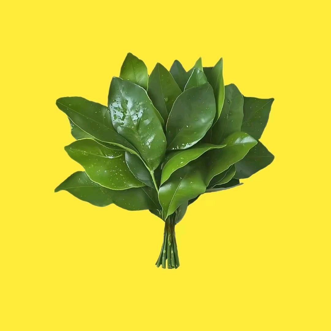 莓泥不行🐾: ʚ萱萱小跟班