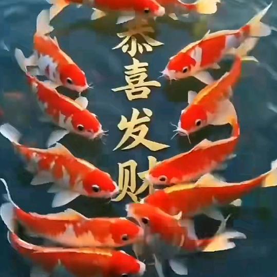 2025要幸福