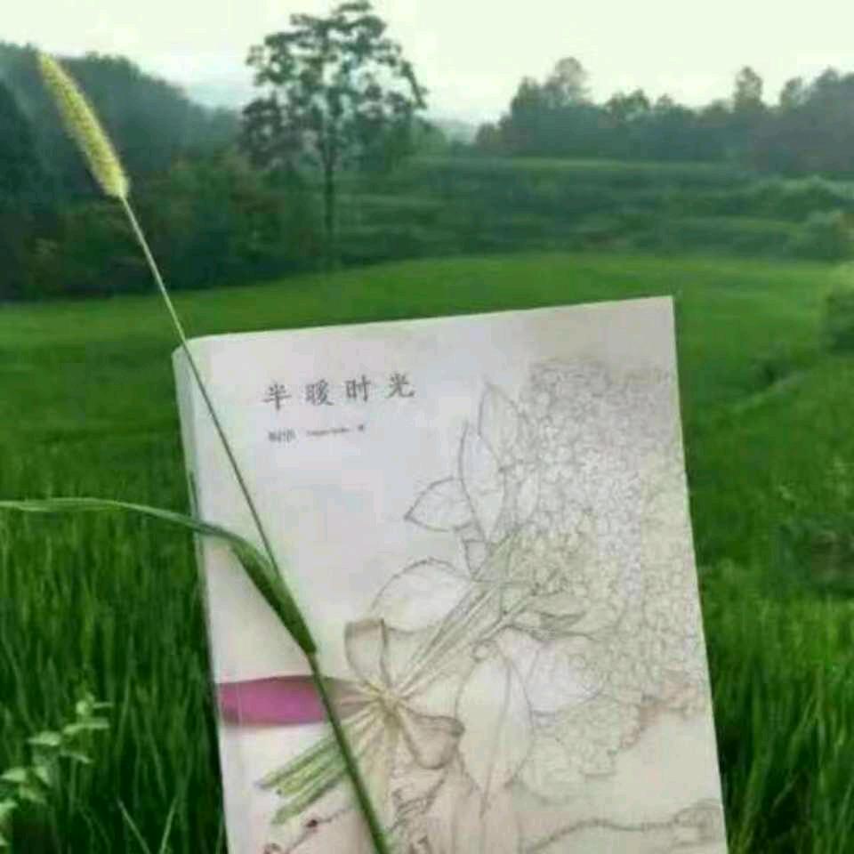 四叶草🍀