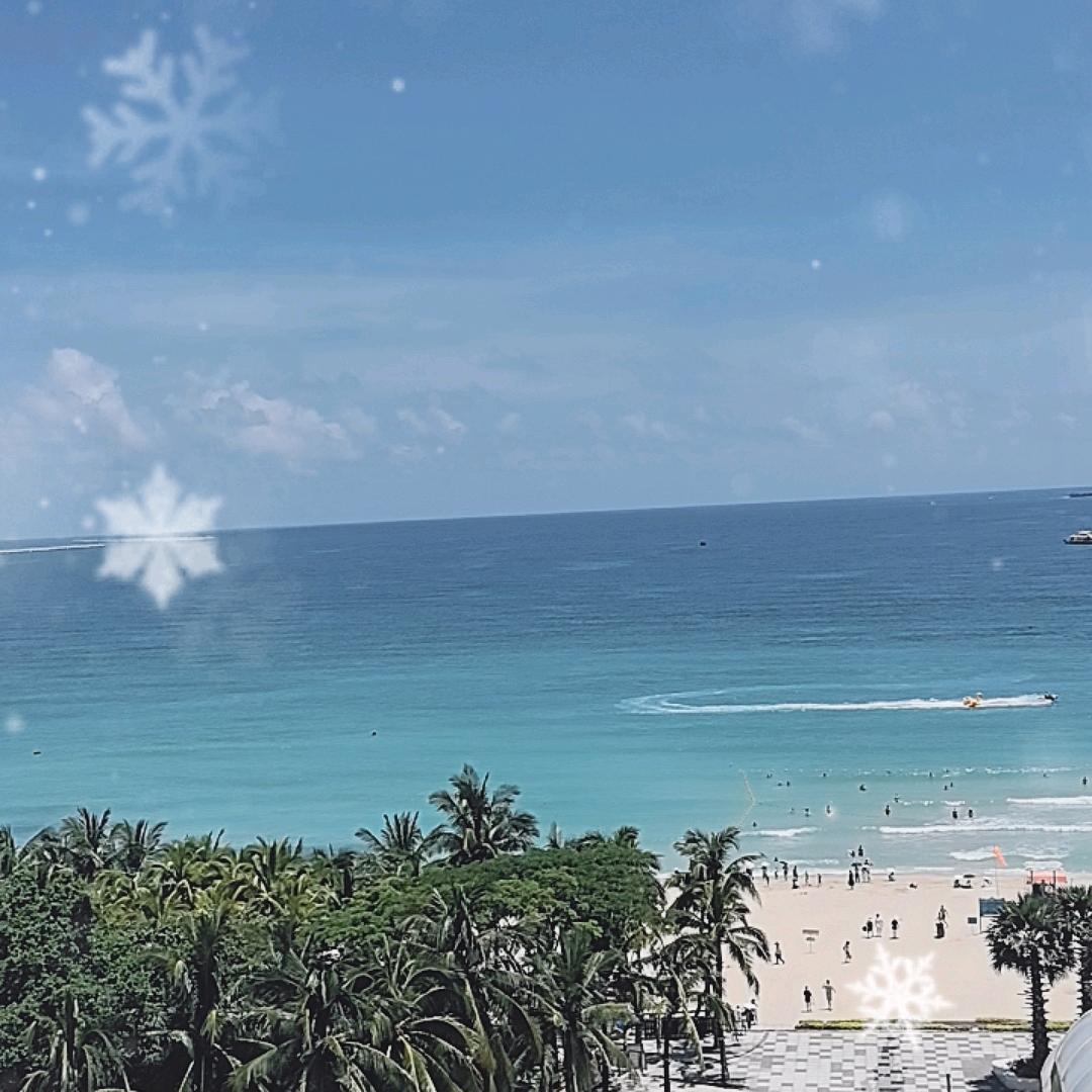 来生我要做一棵树