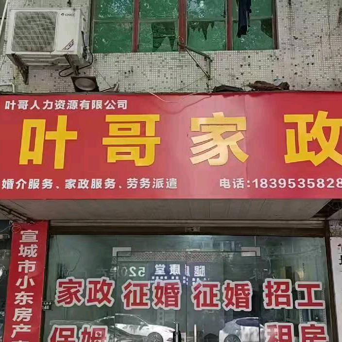 叶哥传媒《免费招工》