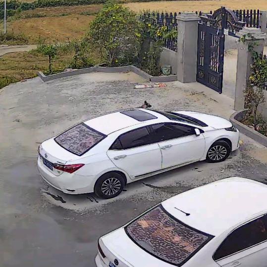 无言的结局