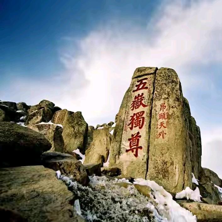 泰山加油哥(助农)