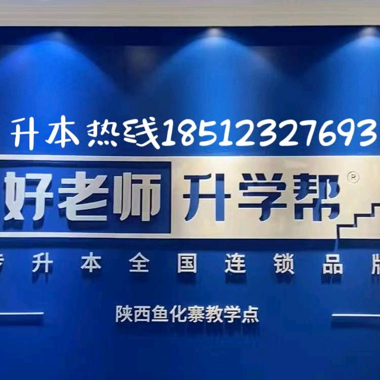 好老师专升本-文老师