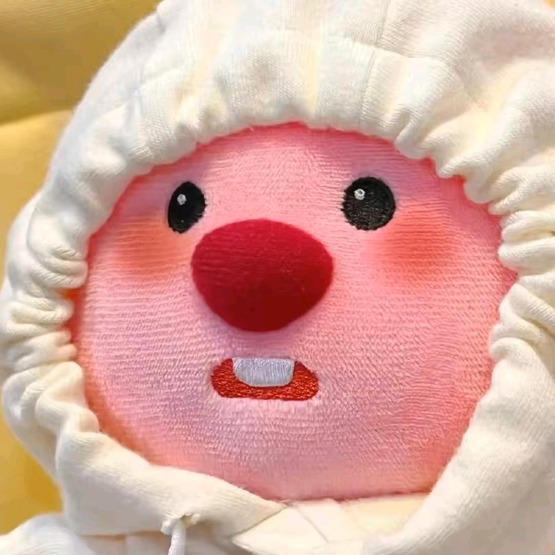 呀！崽仔大王✨