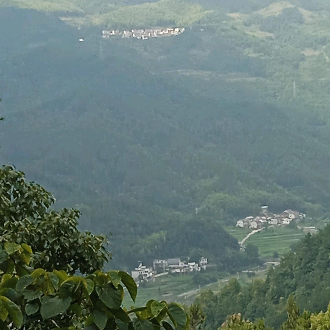 用户4971786262847
