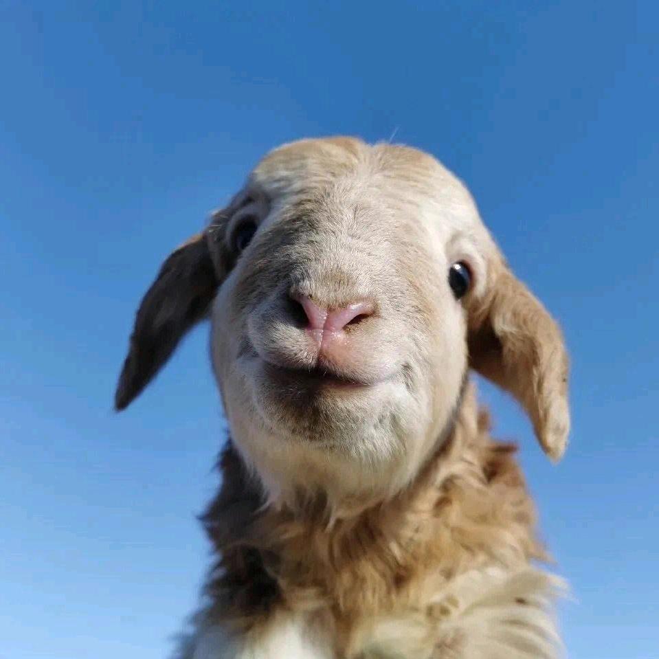 亮瞎了我的眼