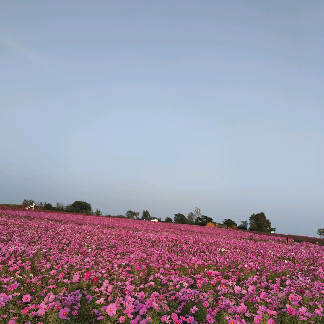 怡然