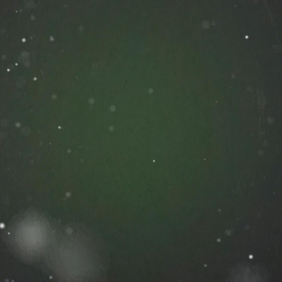 禁止直播了
