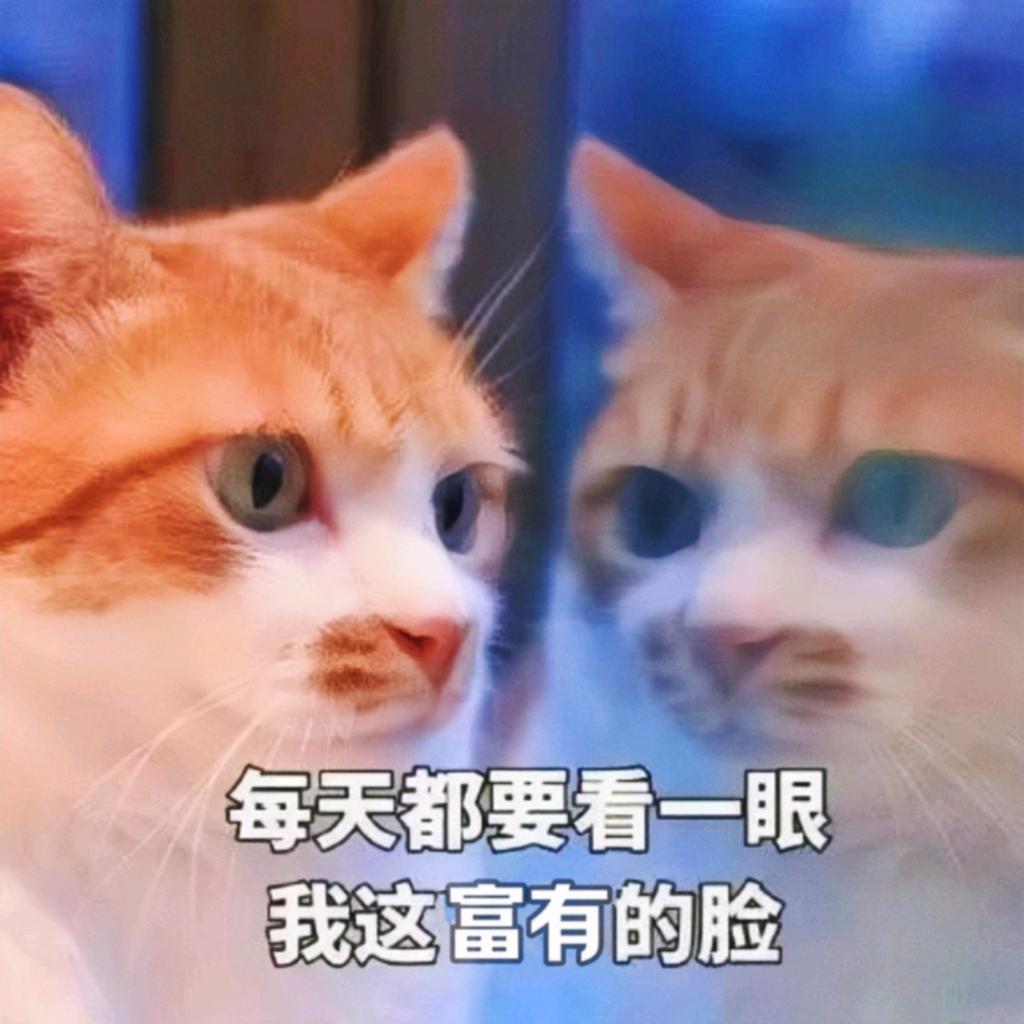 樱花潮