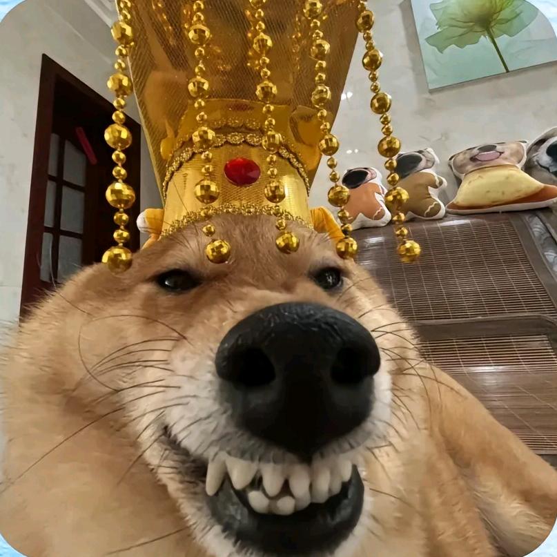 来，张嘴我喂你