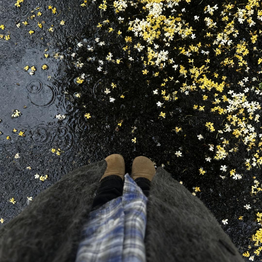 你对谁都说同样的话