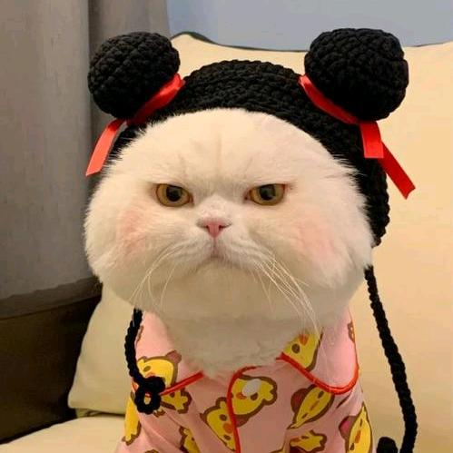 萌宠零零柒