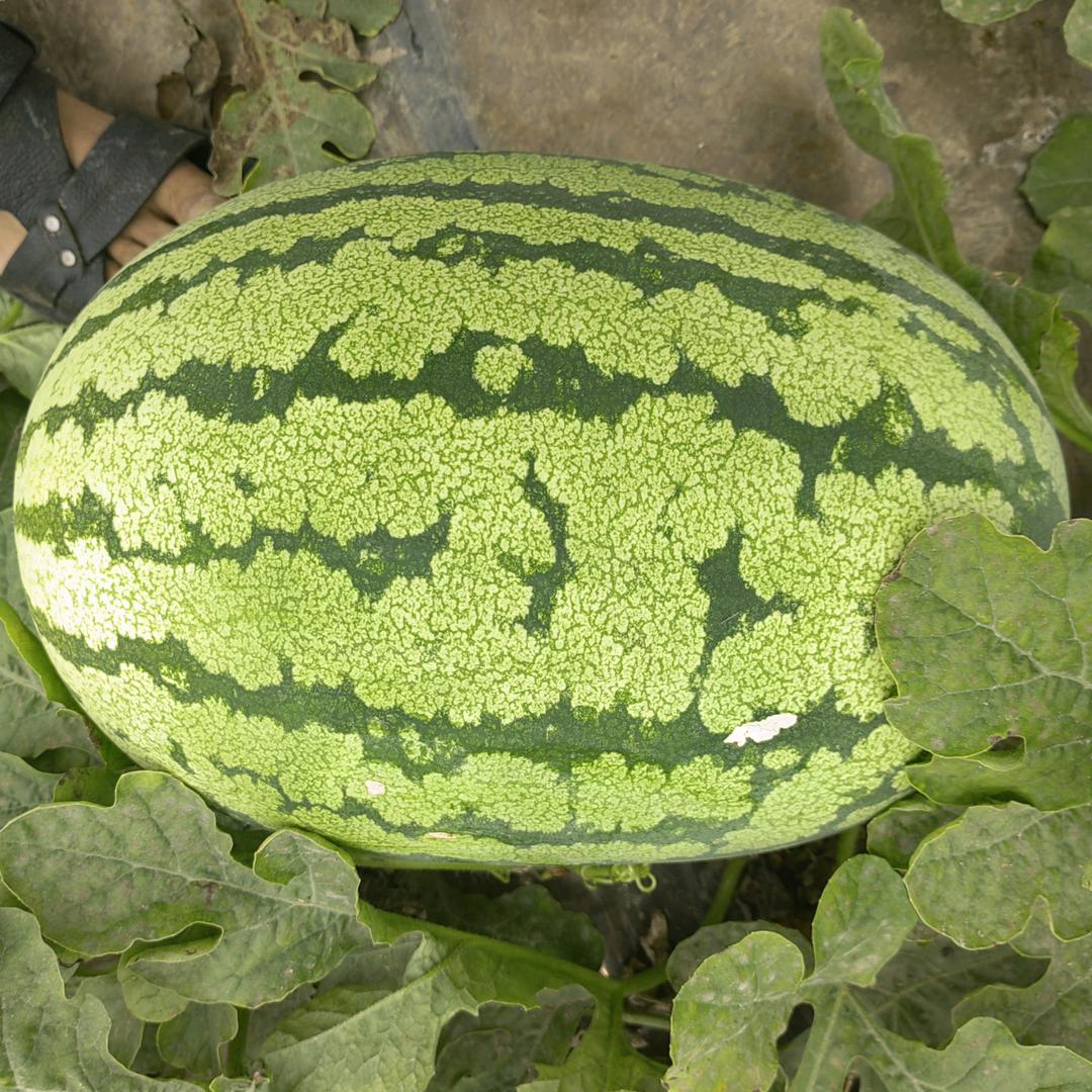 最凉不过人心❤️💜🤎🖤💔