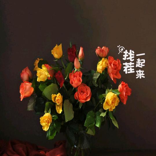 🍒🍒🍒小曹