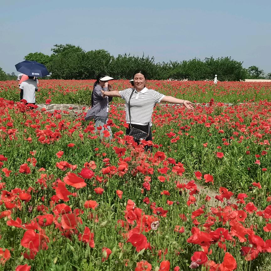 小喜乐🌴🌻
