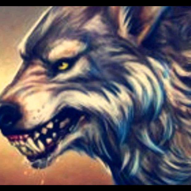 所有用户他大爷