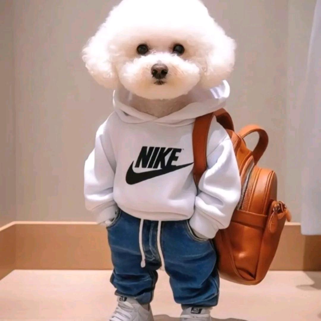 小啊哥