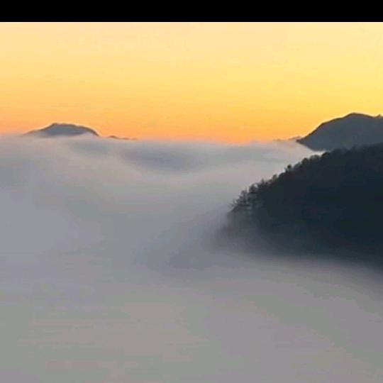 叶姐吖