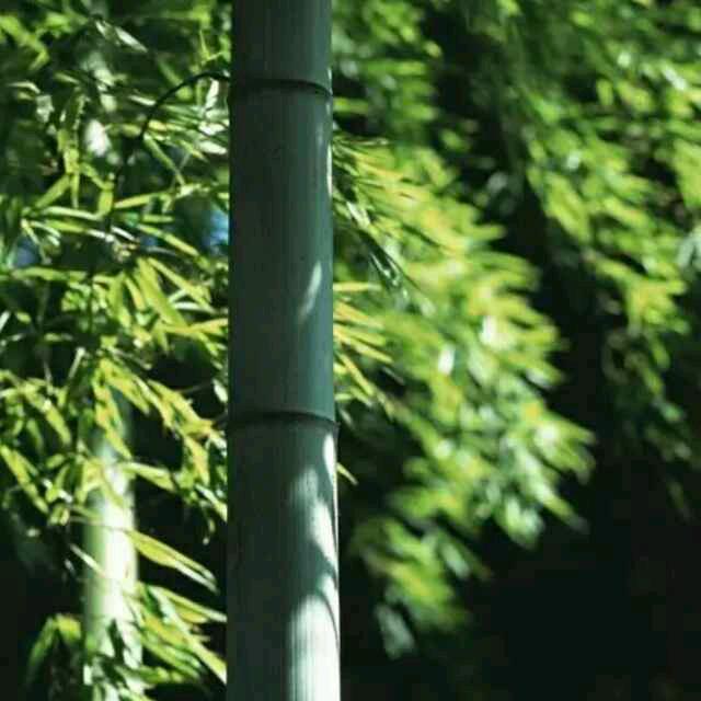 陈江涛