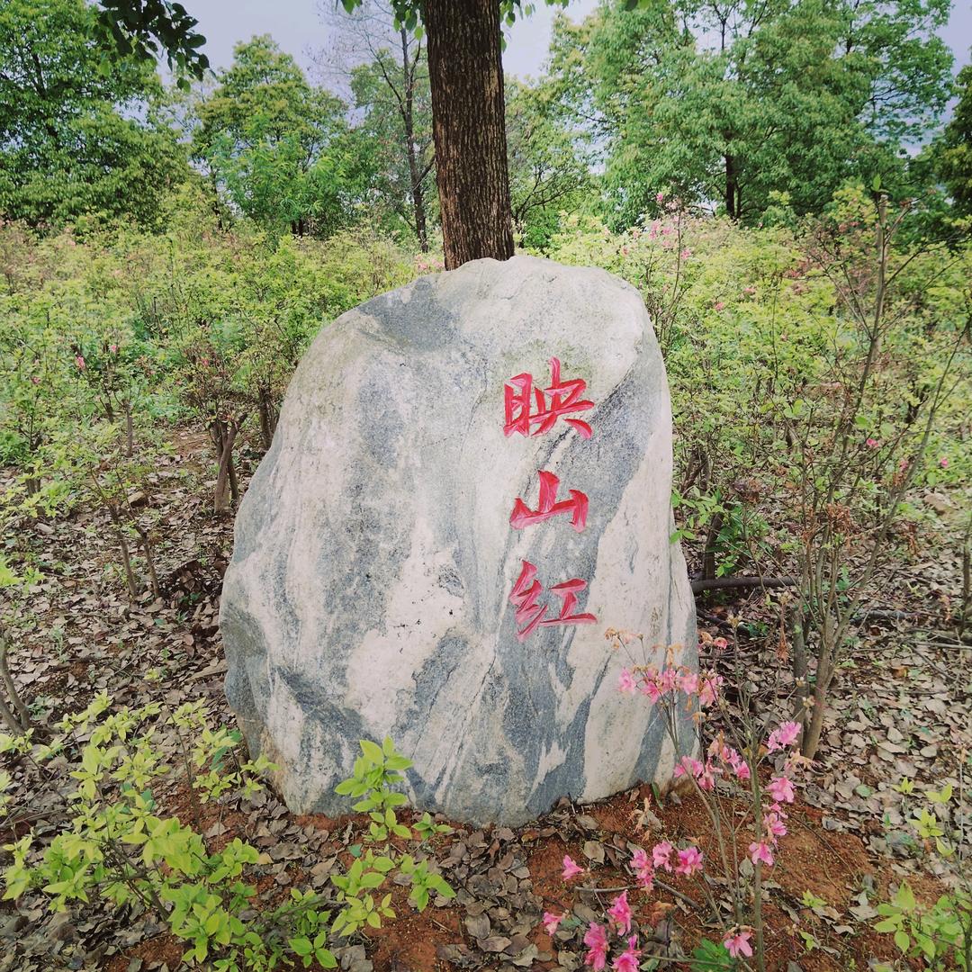 杨帆启航