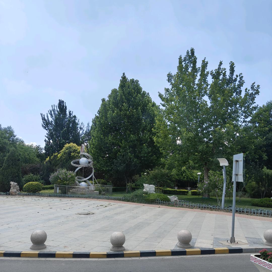 无悔的执着