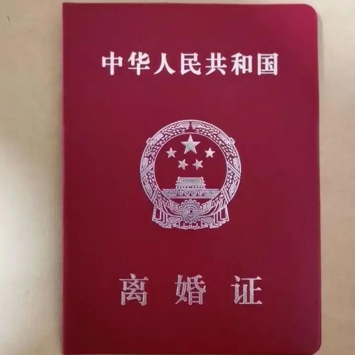 我爱我的宝贝宝儿我有一个小宝贝。离婚了