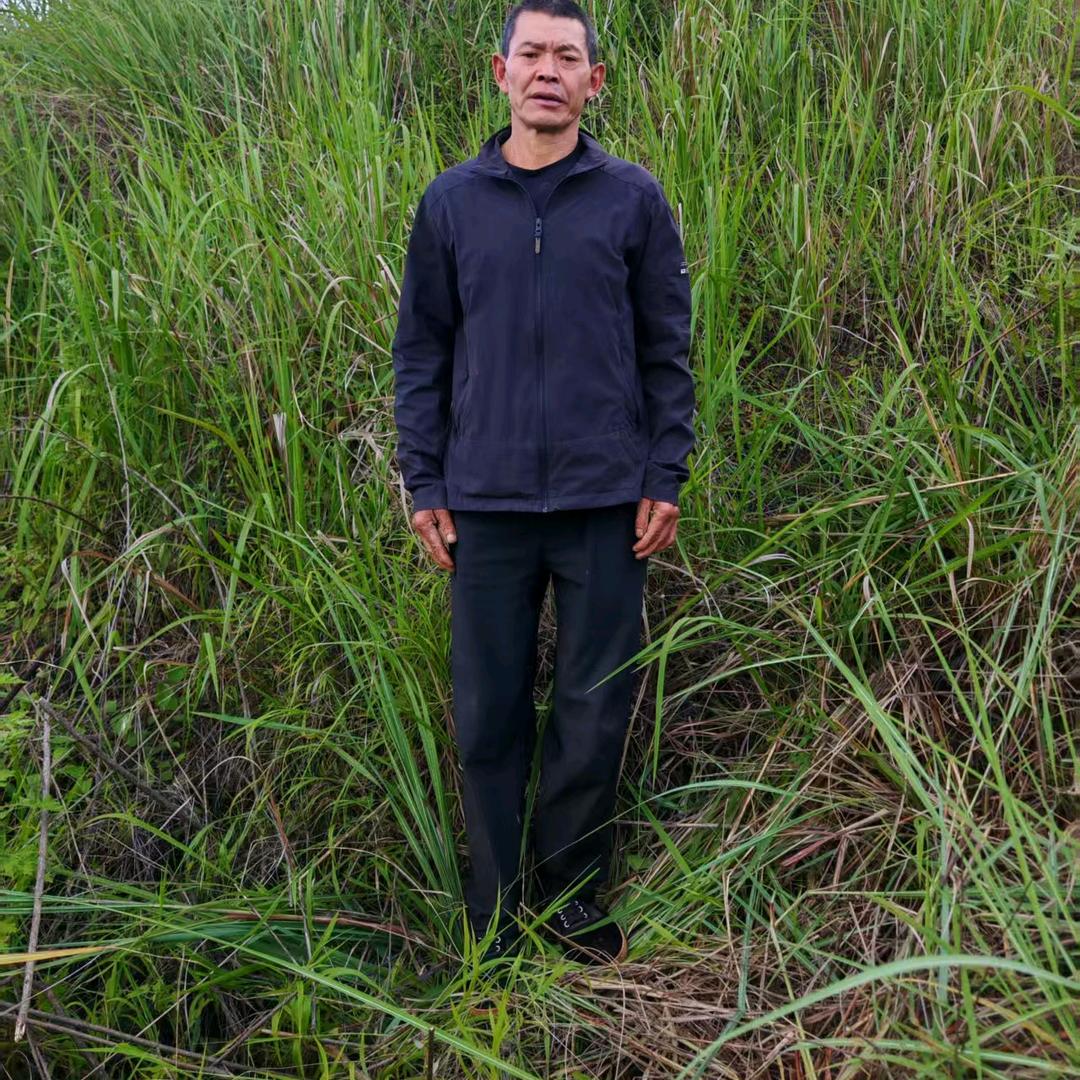 平安喜乐