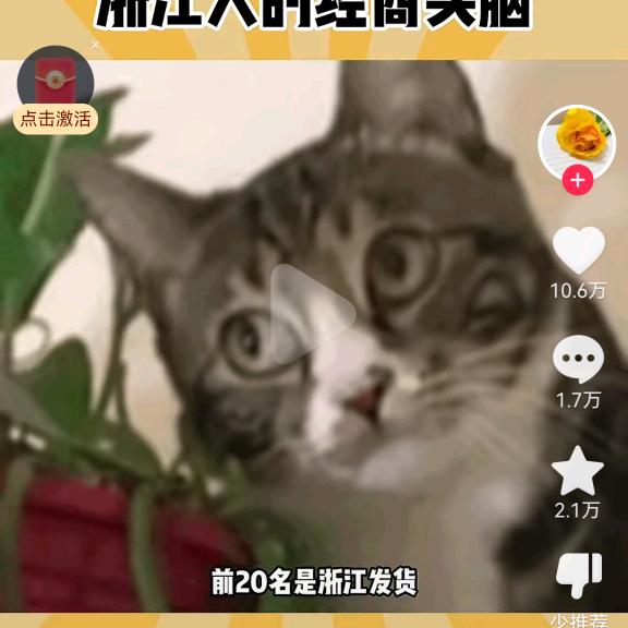 伽玛雅