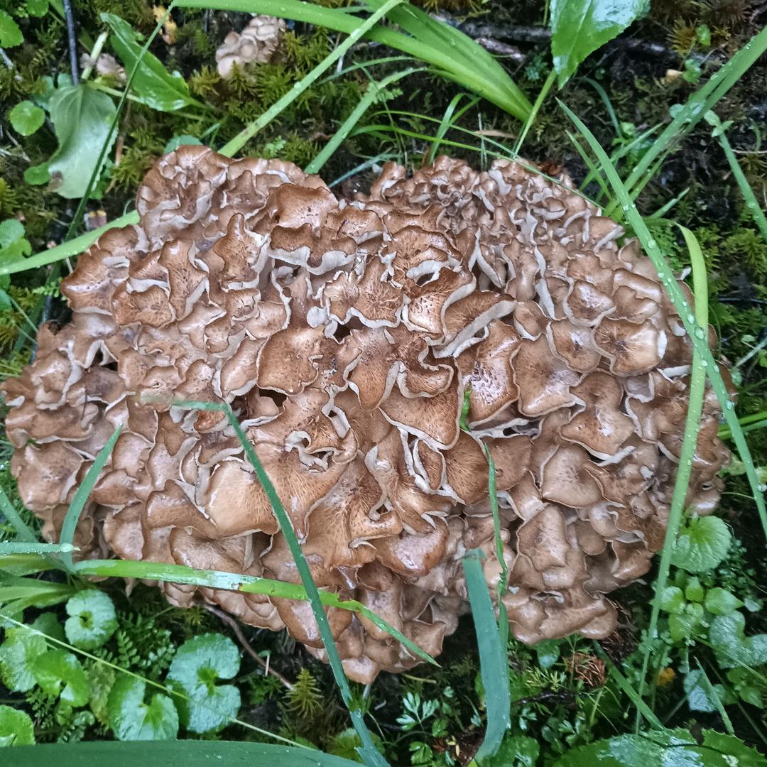 顺其自然