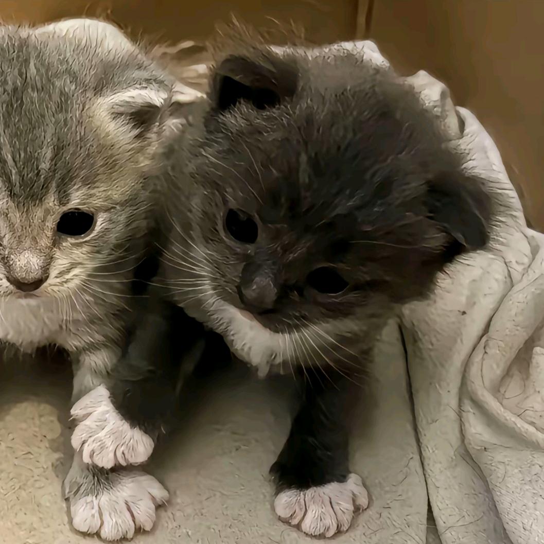 我男朋友很可爱